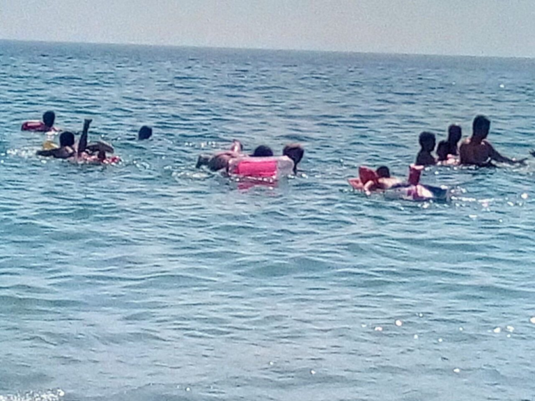 leptokarija-1
