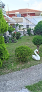 img-39fc9140370a60f7190b57d554a93d3a-v