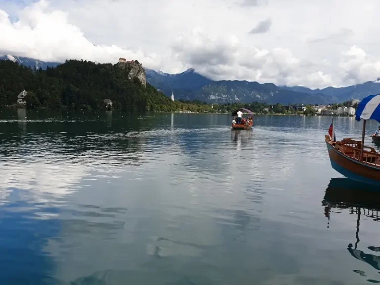 bled-3