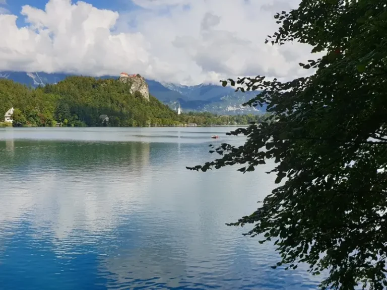 bled-4