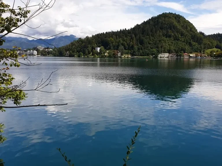 bled-5